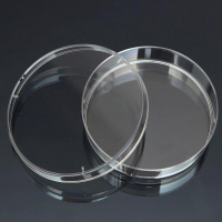 Чашка Петри стеклянная с крышкой 100х20 - fgospostavki.ru - Рязань