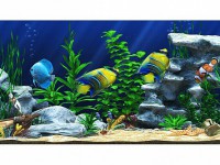 Интерактивный аттракционный комплекс "Водный мир" - fgospostavki.ru - Рязань