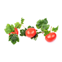 Ветка муляжей "Помидоры" - fgospostavki.ru - Рязань