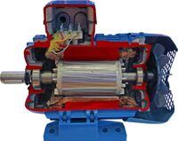 Учебная модель «Электродвигатель асинхронный в разрезе» - fgospostavki.ru - Рязань