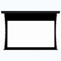 Экран настенный с электроприводом DSTPX-16918 - fgospostavki.ru - Рязань