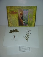 Гербарий "Лекарственные растения" (20 видов) - fgospostavki.ru - Рязань