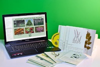 Гербарий натурально-интерактивный "Лекарственные растения" - fgospostavki.ru - Рязань