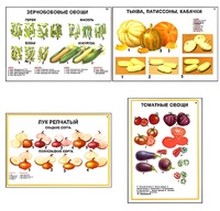 Плакаты ПРОФТЕХ "Ассортимент овощных культур" (12 пл, винил, 70х100) - fgospostavki.ru - Рязань