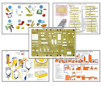 Плакаты ПРОФТЕХ "Сырье и материалы хлебопекарного производства" (20 пл, винил, 70х100) - fgospostavki.ru - Рязань
