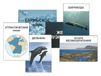 Модель-аппликация "Океаны. Знакомство" (ламинированная) - fgospostavki.ru - Рязань