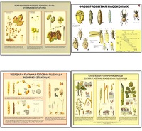 Плакаты ПРОФТЕХ "Вредители и болезни с/х культур и меры борьбы с ними" (11 пл, винил, 70х100) - fgospostavki.ru - Рязань