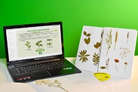 Гербарий натурально-интерактивный "Морфология растений" - fgospostavki.ru - Рязань