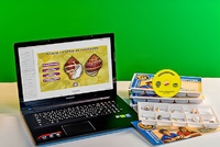 Коллекция натурально-интерактивная "Раковины моллюсков" - fgospostavki.ru - Рязань