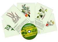 Интерактивный наглядный комплекс "Гербарий "Для начальной школы" - fgospostavki.ru - Рязань