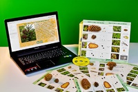 Коллекция натурально-интерактивная "Шишки, плоды, семена деревьев и кустарников" - fgospostavki.ru - Рязань