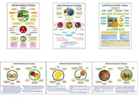 Плакаты ПРОФТЕХ "Плоды" (6 пл, винил, 70х100) - fgospostavki.ru - Рязань