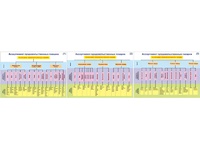 Плакаты ПРОФТЕХ "Ассортимент продовольственных товаров" (3 пл, винил, 70х100) - fgospostavki.ru - Рязань