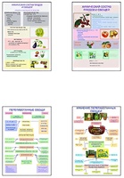 Плакаты ПРОФТЕХ "Классификация овощей и переработка" (8 пл, винил, 70х100) - fgospostavki.ru - Рязань