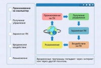 Интерактивные курсы. Информатика 10 класс . Базовый. - fgospostavki.ru - Рязань