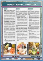 Стенд "Белки. Жиры. Углеводы" - fgospostavki.ru - Рязань