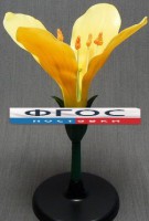 Модель "Цветок капусты" - fgospostavki.ru - Рязань