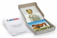 Модель-аппликация "Цикл развития бычьего цепня" (набор из 7 карт) - fgospostavki.ru - Рязань