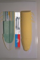 Модель барельефная "Клеточное строение корня" - fgospostavki.ru - Рязань