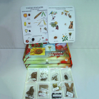 Коллекция "Семена и плоды с раздаточным материалом" - fgospostavki.ru - Рязань