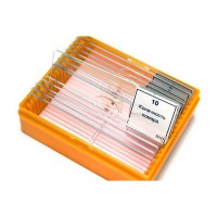 Набор готовых микропрепаратов (зоология) - fgospostavki.ru - Рязань