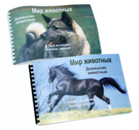 Пособие для слабовидящих - Домашние животные - fgospostavki.ru - Рязань