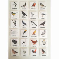 Набор карточек "ПТИЦЫ" - fgospostavki.ru - Рязань