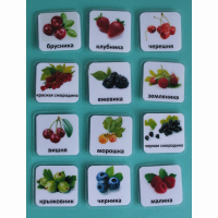 Набор карточек "Ягоды" - fgospostavki.ru - Рязань