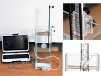 Набор демонстрационный «Гидростатика и плавание тел» - fgospostavki.ru - Рязань