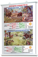 Плакаты по географии России для оформления кабинета. - fgospostavki.ru - Рязань