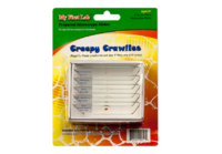 Набор микропрепаратов для микроскопа №2 «Насекомые» - fgospostavki.ru - Рязань