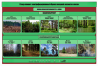 Стенд-планшет электрифицированный «Оценка пожарной опасности в лесах»  - fgospostavki.ru - Рязань