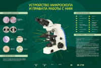 Электрифицированный стенд "Устройство микроскопа и правила работы c ним" - fgospostavki.ru - Рязань