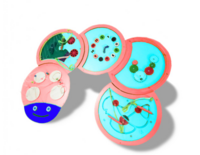 Тактильно-развивающая панель «Гусеница» - fgospostavki.ru - Рязань