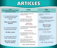 Стенд "Артикли" - fgospostavki.ru - Рязань