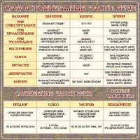 Стенд "Самостоятельные части речи" Вариант 2 - fgospostavki.ru - Рязань