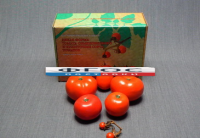 Набор муляжей "Дикая форма и культурные сорта томатов" - fgospostavki.ru - Рязань