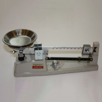 Весы учебные с разновесами МБ-200 (одночашечные) - fgospostavki.ru - Рязань