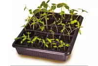 Мини-парник - fgospostavki.ru - Рязань