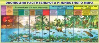 Стенд "Эволюция растительного и животного мира" - fgospostavki.ru - Рязань