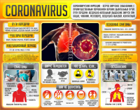 Плакат "Коронавирус" (вариант 2) - fgospostavki.ru - Рязань