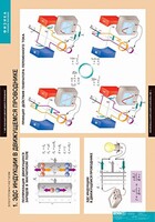Комплект таблиц. Физика. Электромагнетизм. - fgospostavki.ru - Рязань