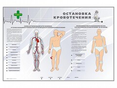 Электрифицированный стенд "Остановка кровотечения" - fgospostavki.ru - Рязань