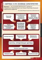Комплект таблиц. ОБЖ. Здоровый образ жизни. - fgospostavki.ru - Рязань