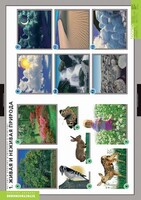 Комплект таблиц. Окружающий мир. Летние и осенние изменения в природе. - fgospostavki.ru - Рязань