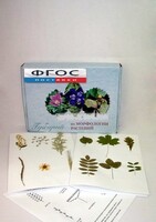 Гербарий "Морфология растений" (5 тем х 3 листа) - fgospostavki.ru - Рязань