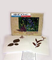 Гербарий "Дикорастущие растения" (28 видов) - fgospostavki.ru - Рязань