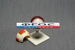 Модель "Глаз человека" (лабораторная) - fgospostavki.ru - Рязань