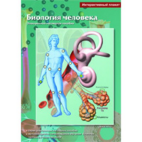 Интерактивные плакаты. Биология человека. Программно-методический комплекс - fgospostavki.ru - Рязань