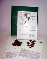 Гербарий к курсу основ общей биологии (20 листов, ламинированный) - fgospostavki.ru - Рязань